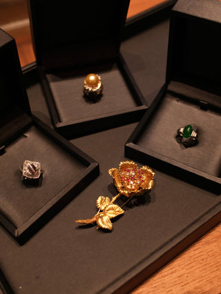 Jewels of Time