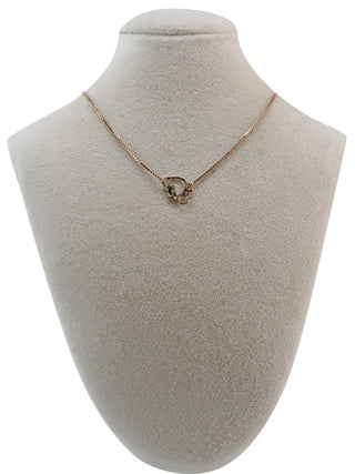 Dior Oblique Monogram Necklace