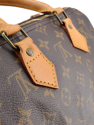Monogram Speedy 25 Top Handle Bag