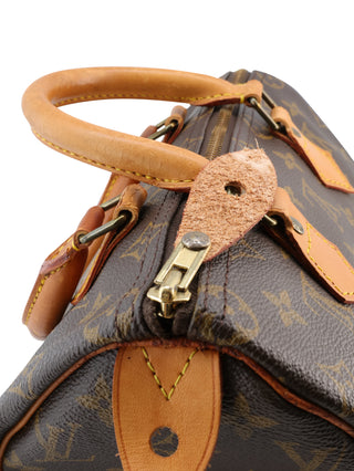 Monogram Speedy 25 Top Handle Bag