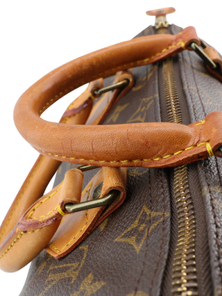 Monogram Speedy 25 Top Handle Bag