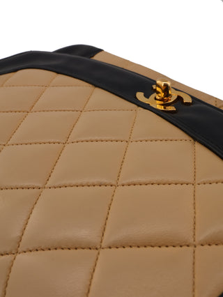 Bi-Color Flap Diana Shoulder Bag