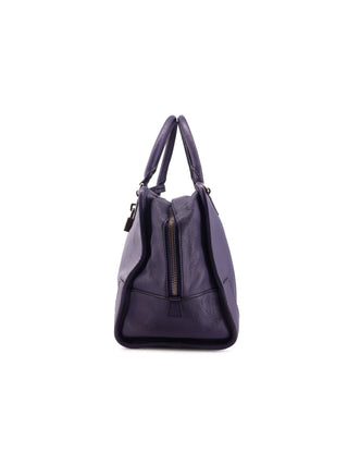 Amazona 36 Handbag