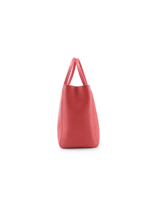 Cerf Executive Shopper Tote