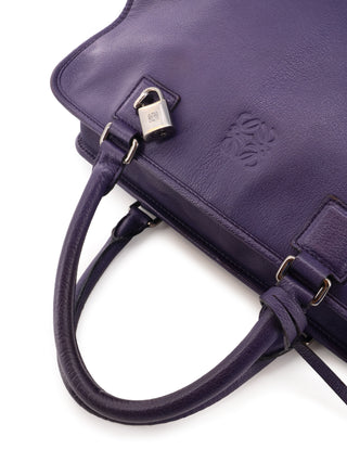 Amazona 36 Handbag