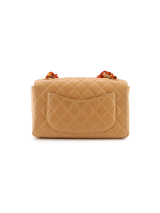 Small Single Flap Tortoiseshell Chain Bag
