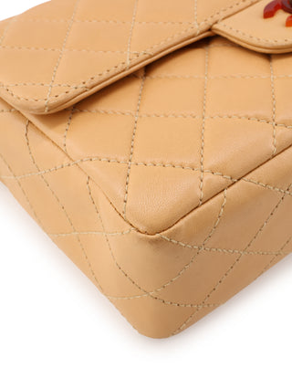 Small Single Flap Tortoiseshell Chain Bag
