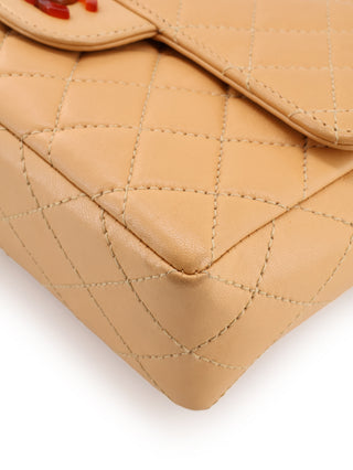 Small Single Flap Tortoiseshell Chain Bag