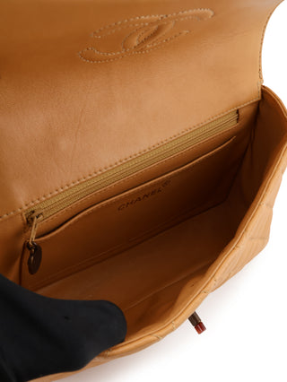 Small Single Flap Tortoiseshell Chain Bag