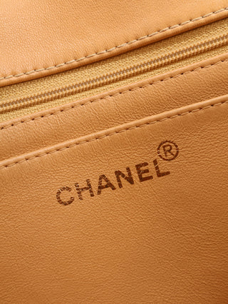 Small Single Flap Tortoiseshell Chain Bag