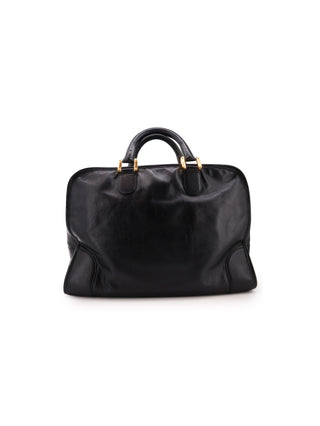 Amazona 40 Handbag