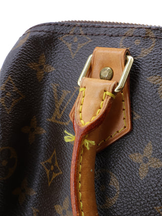 Monogram Speedy 25 Top Handle Bag