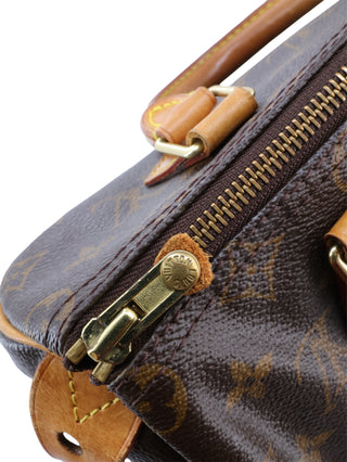 Monogram Speedy 25 Top Handle Bag