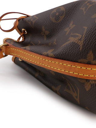 Monogram Nano Noe Bucket Bag