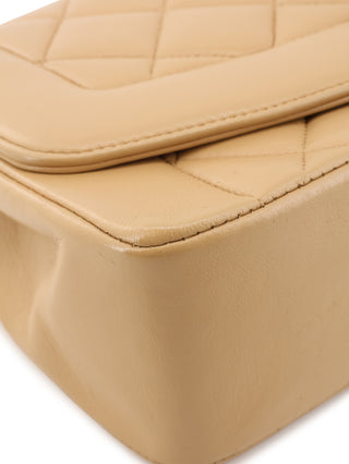 Small Diana Flap Shoulder Bag