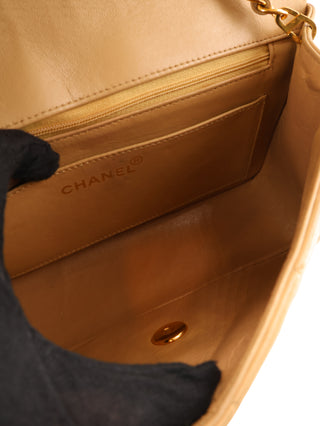 Small Diana Flap Shoulder Bag