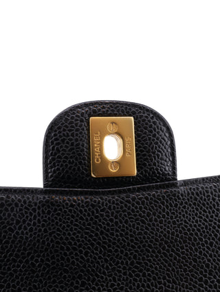 Caviar Double Flap Shoulder Bag