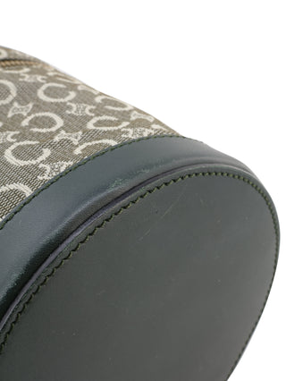 Triomphe Vanity Handbag