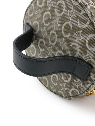 Triomphe Vanity Handbag