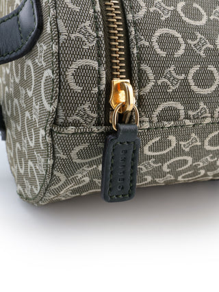 Triomphe Vanity Handbag