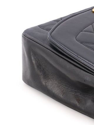 Medium Diana Flap Shoulder Bag