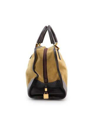 Amazona Handbag