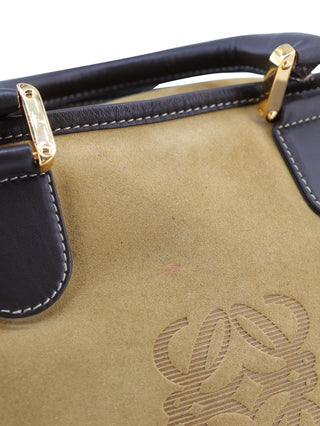 Amazona Handbag