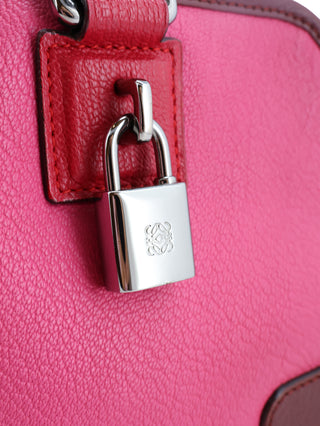 Amazona 28 Handbag