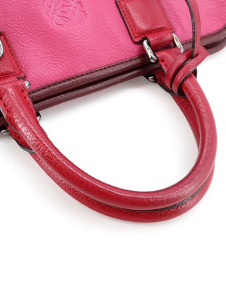 Amazona 28 Handbag