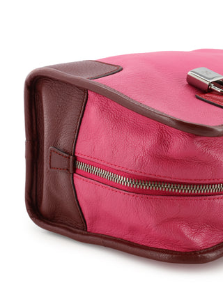 Amazona 28 Handbag