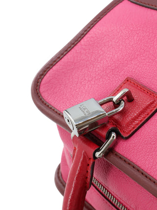 Amazona 28 Handbag