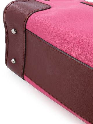 Amazona 28 Handbag