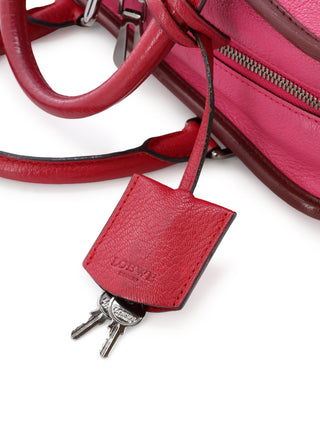 Amazona 28 Handbag