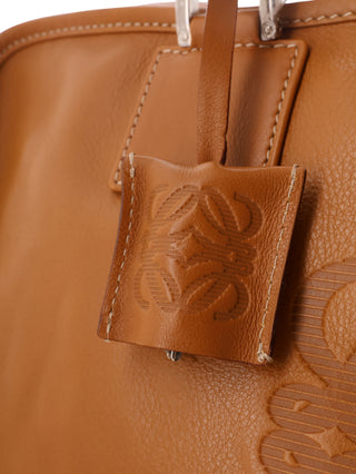 Amazona 36 Handbag