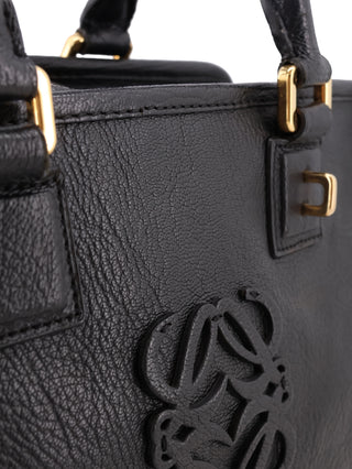 Amazona 28 Handbag
