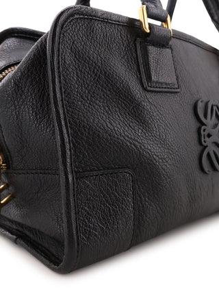 Amazona 28 Handbag