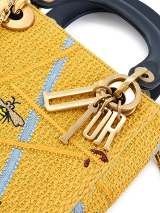Mini Lady Dior Embroidered 5 Swords Bag