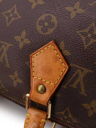 Monogram Speedy 25 Handbag