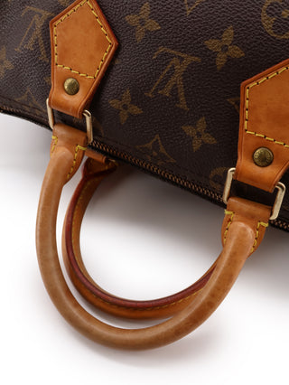 Monogram Speedy 25 Handbag