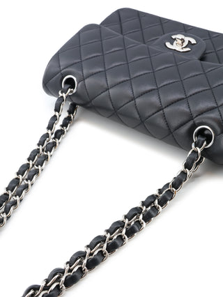 Classic Small Double Flap Bag