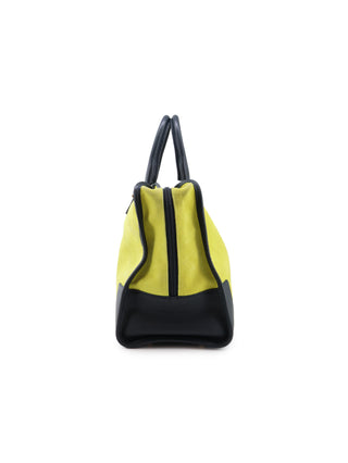 Amazona Handbag