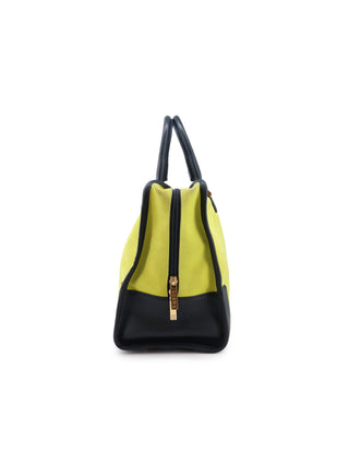 Amazona Handbag