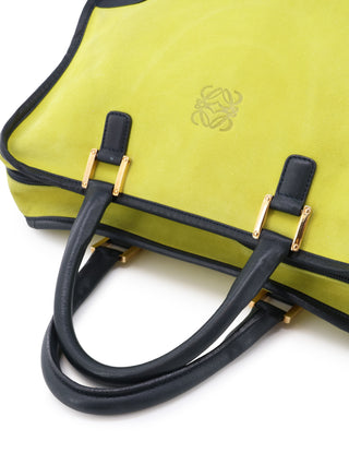 Amazona Handbag