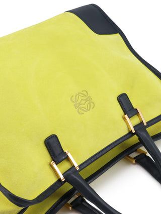 Amazona Handbag