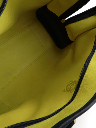 Amazona Handbag