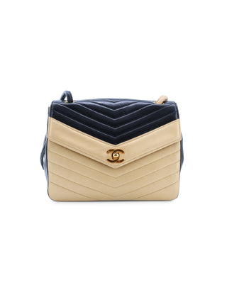 Bicolor Chevron Camera Bag