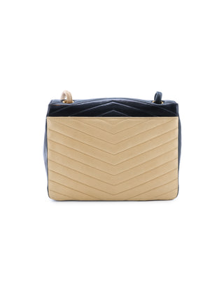Bicolor Chevron Camera Bag