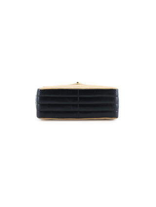 Bicolor Chevron Camera Bag