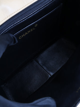 Bicolor Chevron Camera Bag