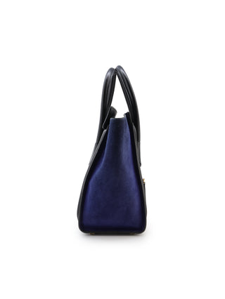 Tricolor Micro Luggage Tote Bag